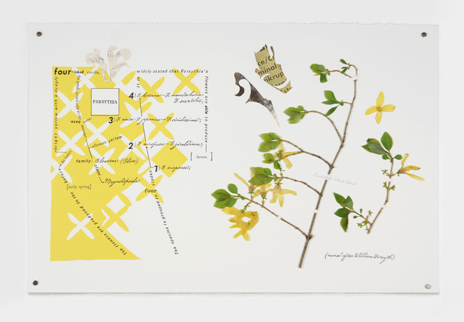 Leslie Hirst From Here woodblock print, letterpress, inkjet, collage and pressed plants