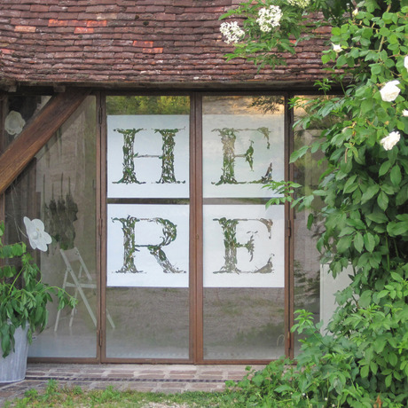 Leslie Hirst From Here photographic prints of mistletoe leaves and snail shells
