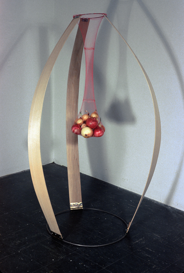  Sculpture Selections 2002-1990 Wood, onions, netting, steel