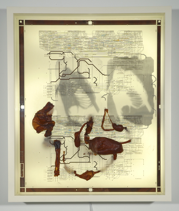  Sculpture Selections 2002-1990 Copper on mylar, latex forms, transparencies, wood, light box