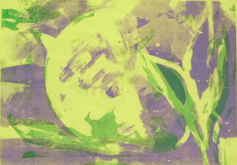 Martha Hayden Print Shows 2025  