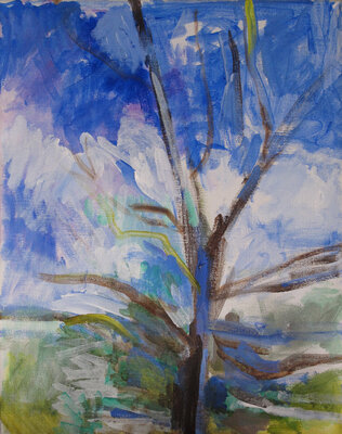 Martha Hayden New Works 2026 acrylic