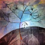 Meg Tweedy Studio Nature Acrylic, paper and a twig