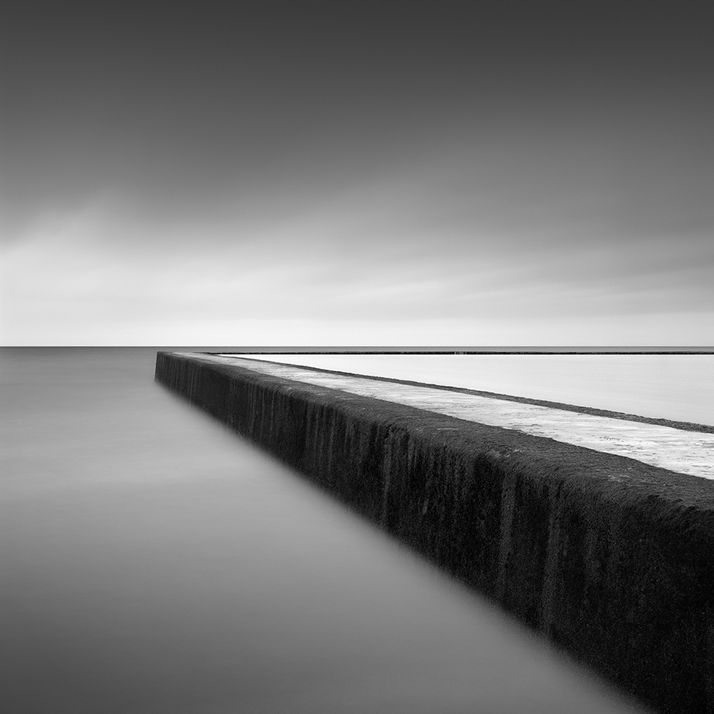MICHAEL LEVIN