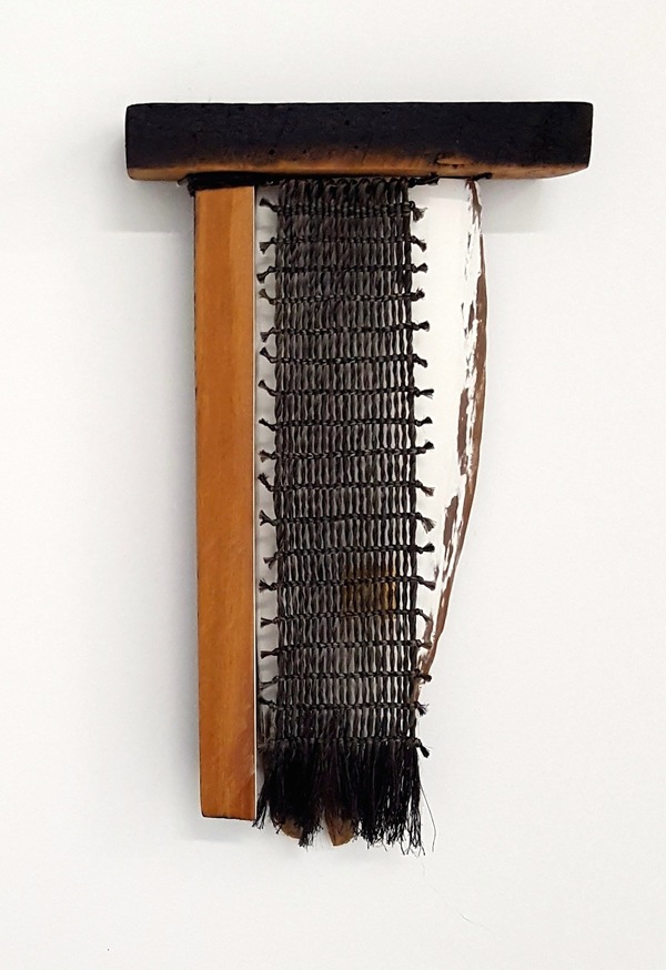 Michelle Mayn 2017 - Shimmer Muka (NZ Flax Fibre), wood, driftwood, steel pins, acrylic, gesso
