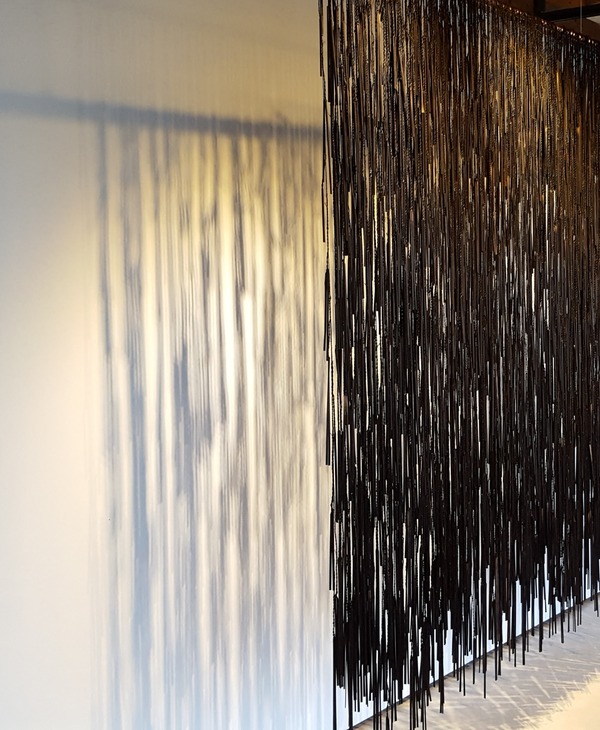 Michelle Mayn Play of Light (2017) 