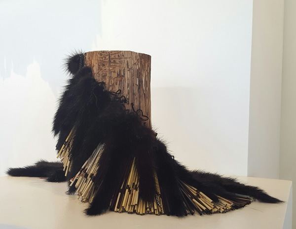  A Study in Mink Mink fur, harakeke/New Zealand Flax fibre, copper wire, diamanté, glass beads, driftwood