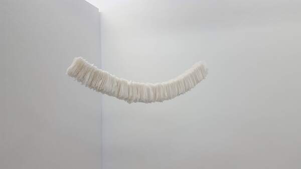 Michelle Mayn Translucere (2018) Acid free tissue, silk thread, acrylic polymer