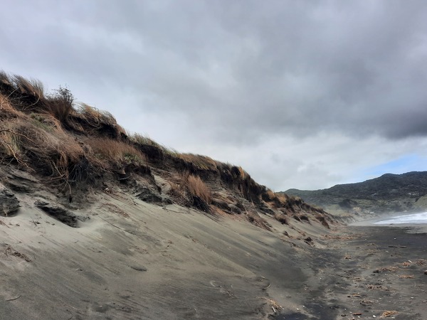 Michelle Mayn 2025 - Onepū - shifting sands/shifting time 