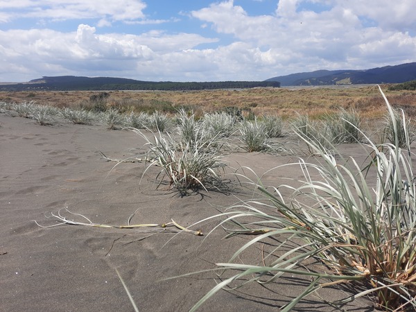 Michelle Mayn 2025 - Onepū - shifting sands/shifting time 