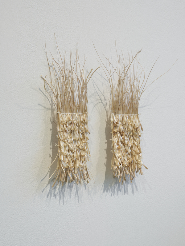 Michelle Mayn 2025 - Onepū - shifting sands/shifting time Kōwhangatara female inflorescence (Spinifex sericeus), muka (processed harakeke fibre; NZ Flax, Phormium tenax)