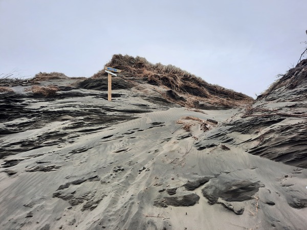 Michelle Mayn 2025 - Onepū - shifting sands/shifting time 