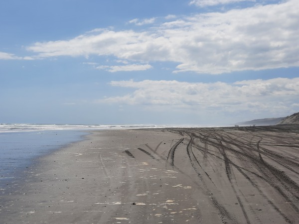 Michelle Mayn 2025 - Onepū - shifting sands/shifting time 