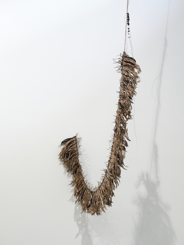 Michelle Mayn Wharariki Skeletonized wharariki seed capsules (Mountain flax, Phormium colensoi), wharariki seed capsules, muka (processed harakeke fibre; NZ Flax, Phormium Tenax), dye of wharariki seed