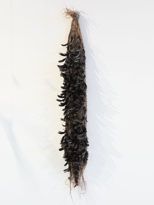 Michelle Mayn Kuruwaka & Muka Dehisced harakeke seed capsules ( NZ Flax, Phormium Tenax), muka (processed harakeke fibre; NZ Flax, Phormium Tenax), dye of harakeke seed capsule and seed, found clip.