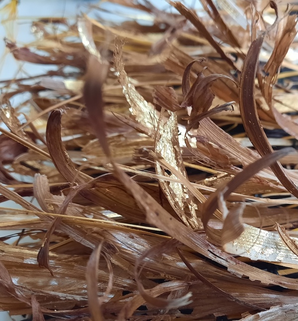  Pīngao & Driftwood I (2025) 