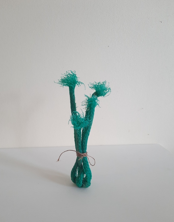 Michelle Mayn Knot (2025) 