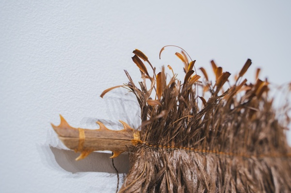 Michelle Mayn Inaka & Wharariki (2025) 