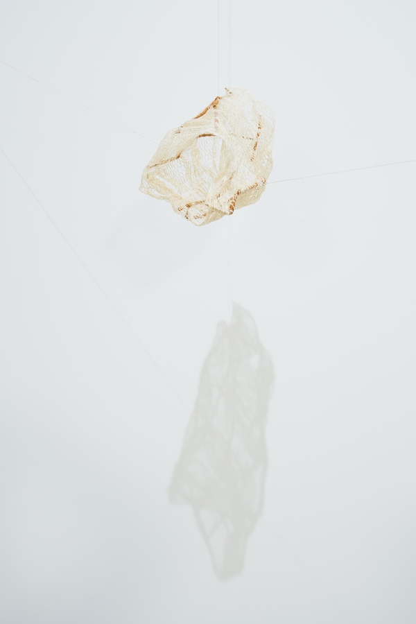 Michelle Mayn Untitled - Net (2024-2025) 