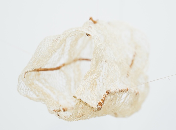 Michelle Mayn Untitled - Net (2024-2025) 