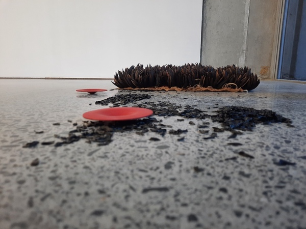 Michelle Mayn Kuruwaka & Sacks (2023) Seeds from 2018 to 2019 harvest; sack from wood fire with Mum and Bruce in winter 2020; lined with Rene's hessian sack.  Dehisced harakeke seed capsules ( NZ Flax, Phormium Tenax), polypropolene mesh sack, hemp thread and plastic thread.