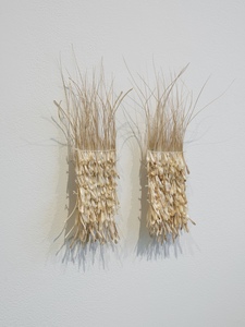 Inflorescence (2025)