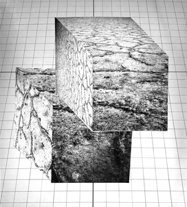 Millee Tibbs Desert Sublime: Alchemical Translations Digital Print