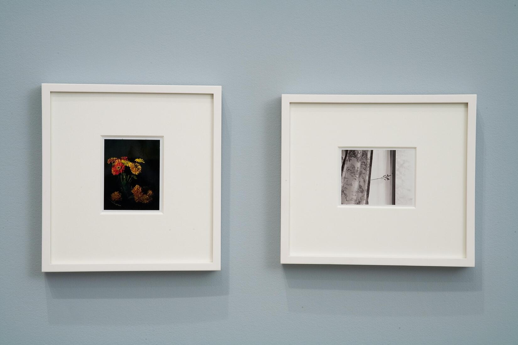  polaroids Hammer Museum, Los Angeles