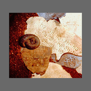 nancy busch adjunct images 