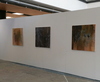  Exhibitions 