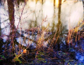 Olivier Charles Démarche artistique Photographie.