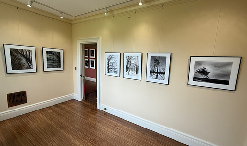P a m e l a   W a l d r o u p • Installation Photos 