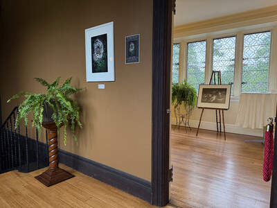 P a m e l a   W a l d r o u p • Installation Photos 