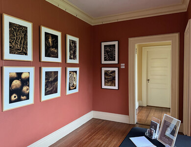P a m e l a   W a l d r o u p • Installation Photos 
