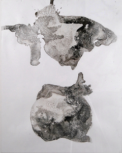 Patty Stone  Recent Work ink and salt on paper