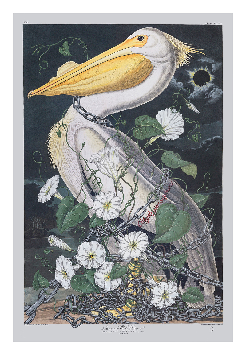 PENELOPE GOTTLIEB Invasive Species Acrylic and ink over John James Audubon