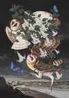 Carousel artwork image 1496