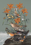 Carousel artwork image 1536