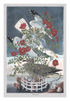 Carousel artwork image 1537