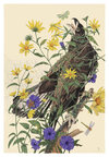 Carousel artwork image 1540