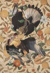 Carousel artwork image 1542
