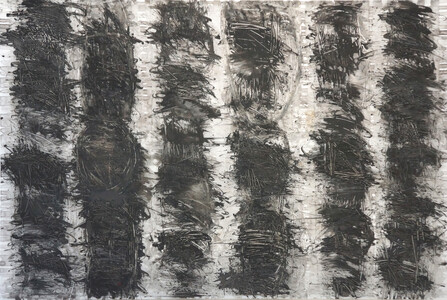 ROBERT SOLOMON works on paper 2012-2015 ink on mylar