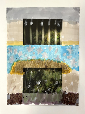 ROBERT SOLOMON  works on paper 2025 acrylic on inkjet on paper