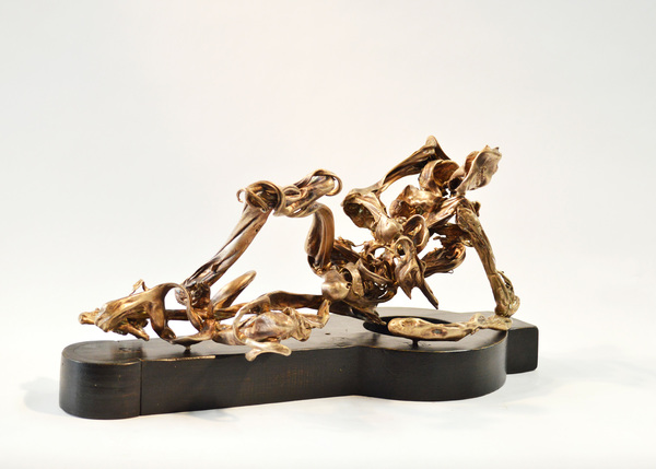  Sinuates Bronze, wood