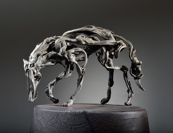  Sinuates Bronze, Douglas fir