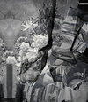 Carousel artwork image 3126