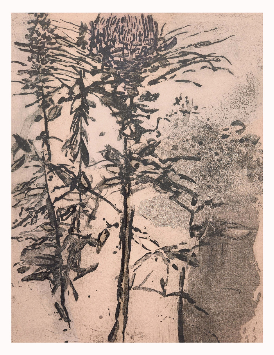 SHELLEY THORSTENSEN of dust, STREWN: a florilegium 