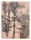 Carousel artwork image 1218
