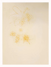 Carousel artwork image 1223
