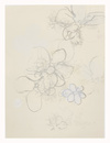Carousel artwork image 1225